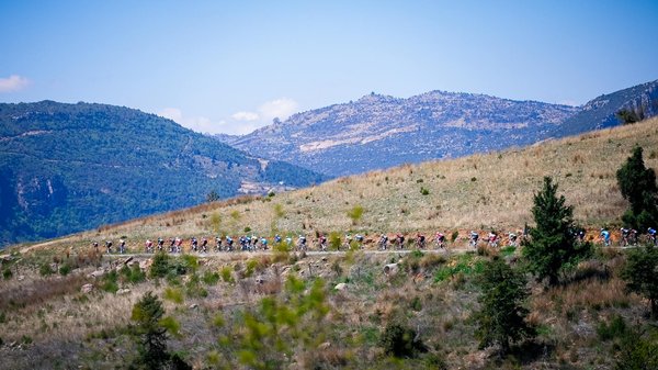 Quelles sont les différentes catégories de katana manga ?