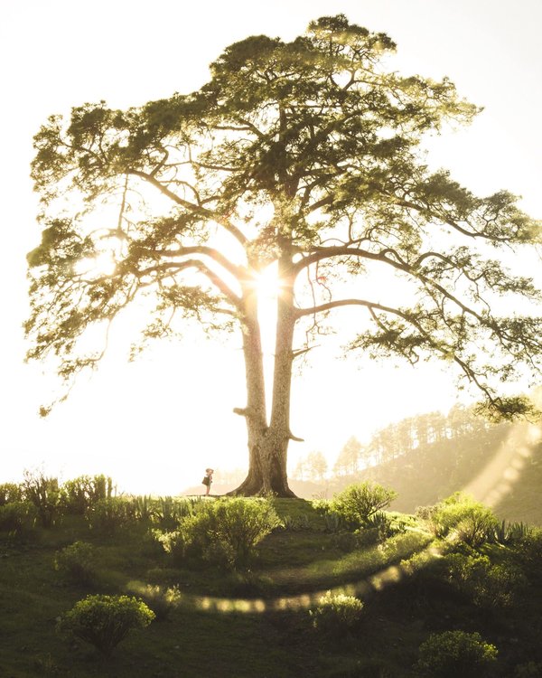les plus grands joueurs de tous les temps